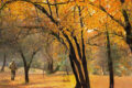 Regreso del otoño